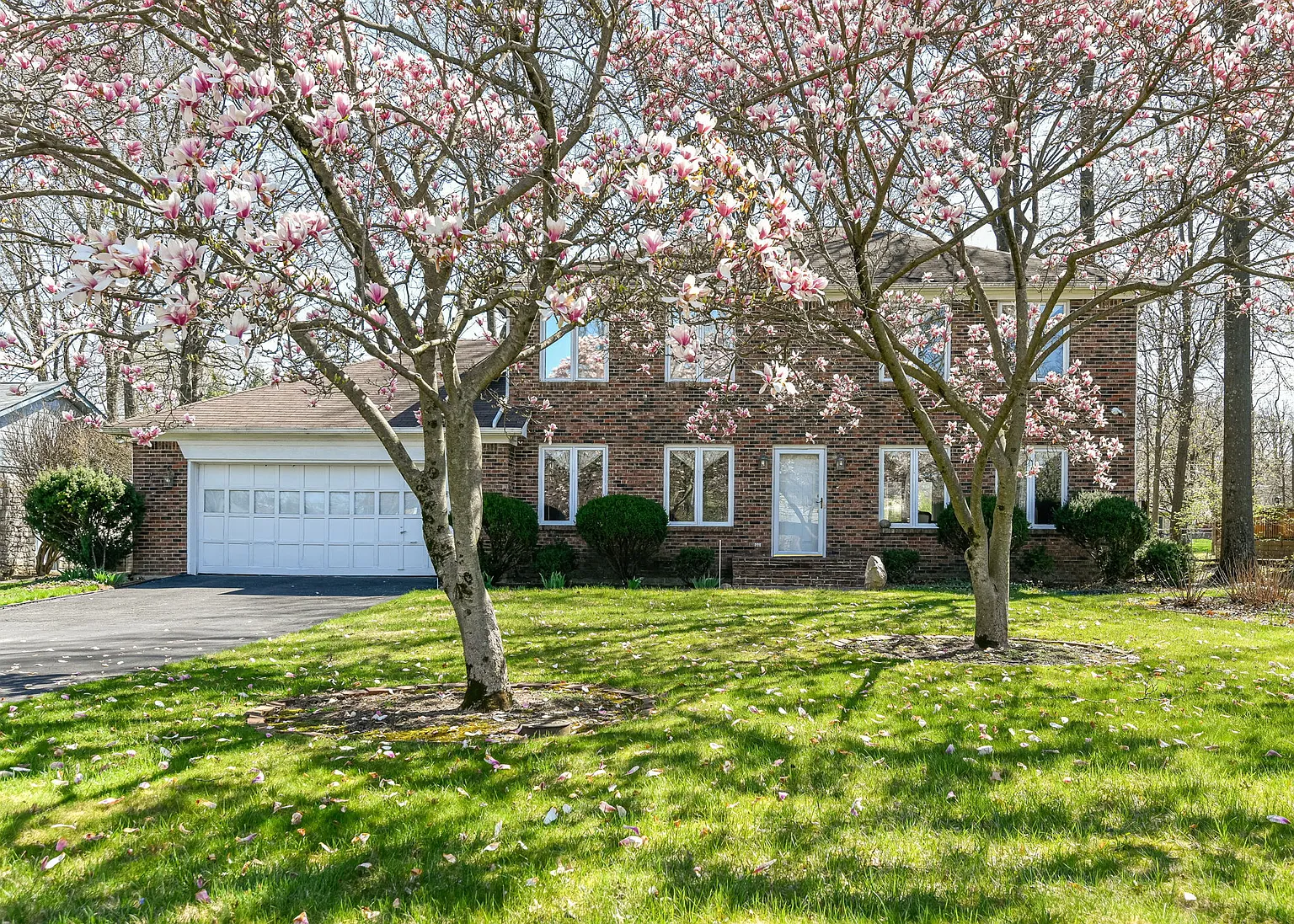 7919 Cove Trce photo 1