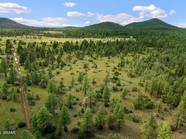 0 Dipping Vat Spg, Vernon, AZ 85940