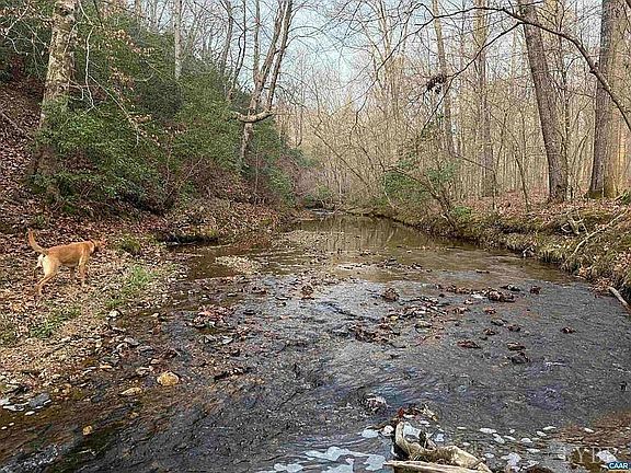 4th image of 0 Paynes Pond Rd