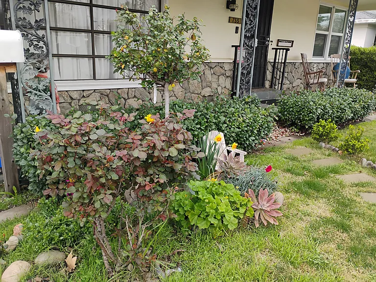 Larger house in the front of the property