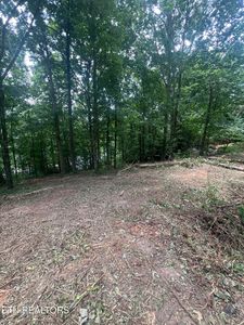 6018 Nottingham Rd, Knoxville, TN, 37918
