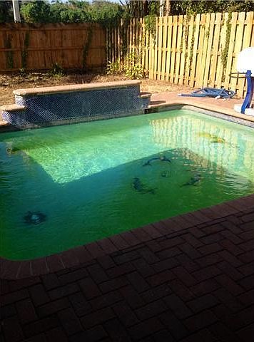 2nd image of 6621 Pond Apple Rd #6621