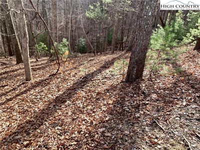 TBD Bear Paw Road Road, Deep Gap, NC, 28618