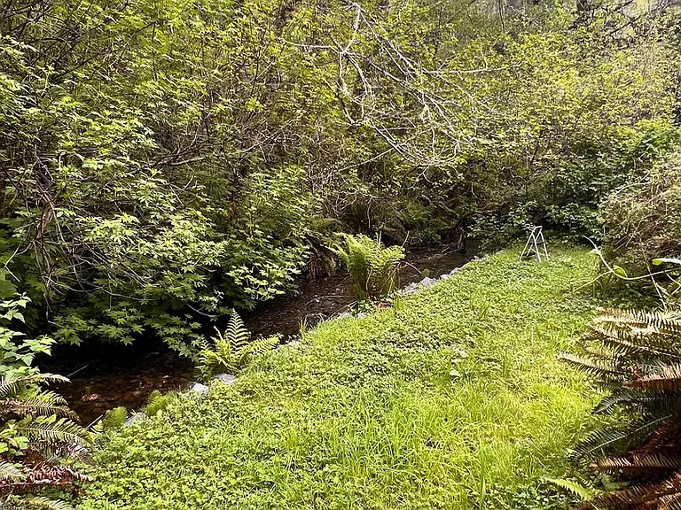 551 McDonald Creek Rd — Photo 36