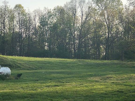 View from back covered patio