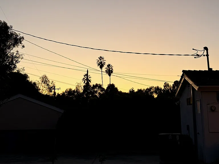 446 Stanford Dr — Photo 38