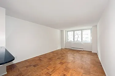 115 East 34th Street, #307