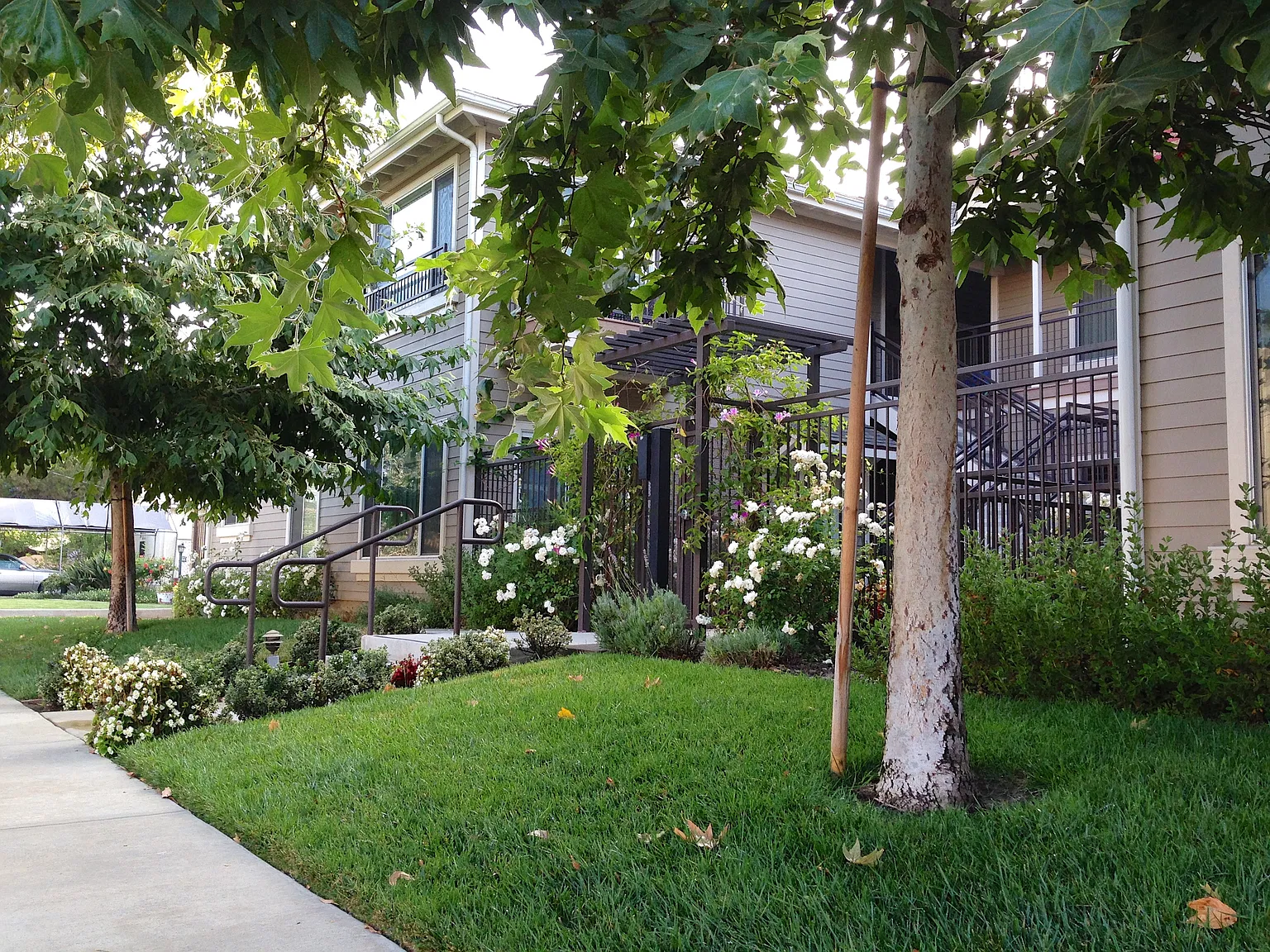 2 bed, $2,700 — Photo 2