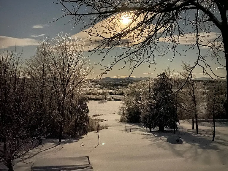Moon over the backyard on a snowy day