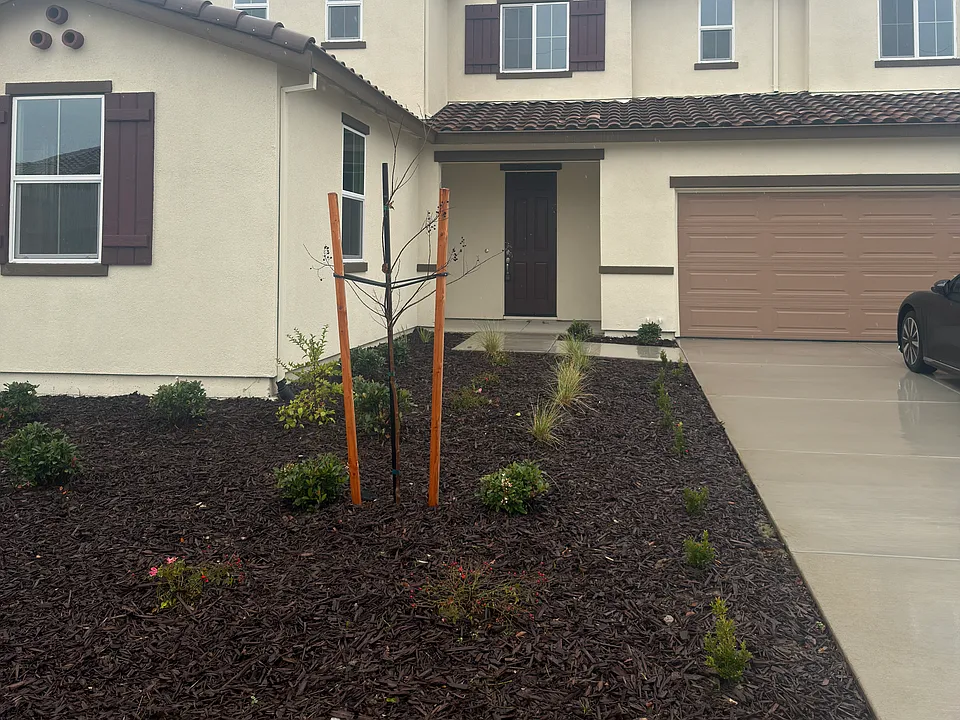 Front Home View