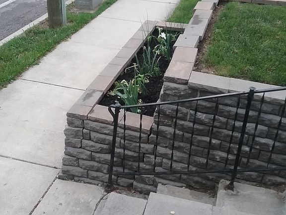  spring and summer flowers