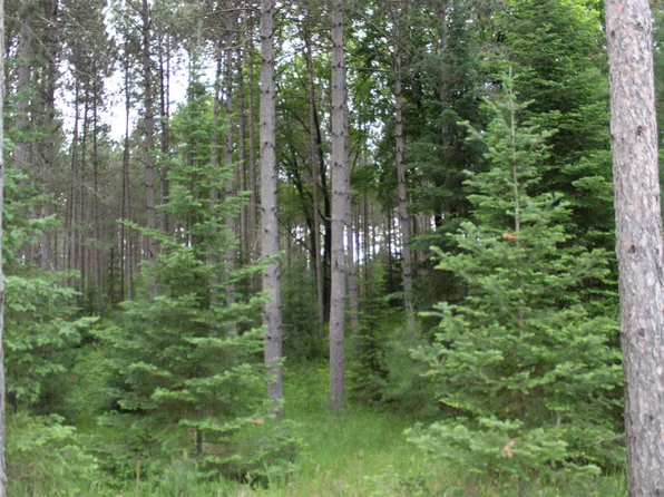 Old Orchard Trl #9, Crivitz, WI 54114