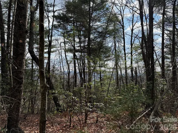 Staghorn Rd #51 & 52a, Purlear, NC 28665