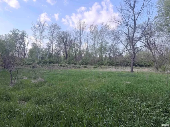0 E 2950th Rd, Alvin, IL 61811