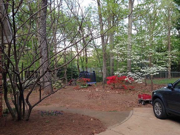 azaleas, dogwoods, hydrangea