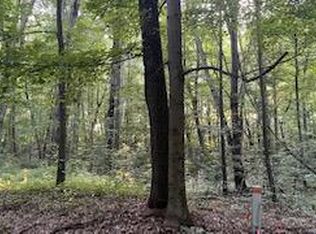 Romeyn Woods LOT 2, Middleville, MI 49333