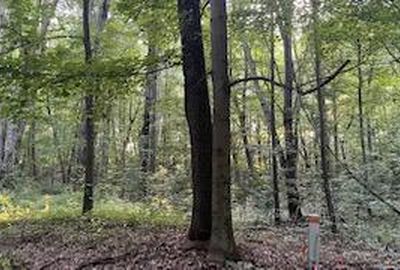 Romeyn Woods LOT 2, Middleville, MI, 49333