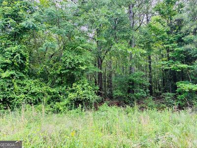 0 Lee Ln, Greenville, GA, 30222