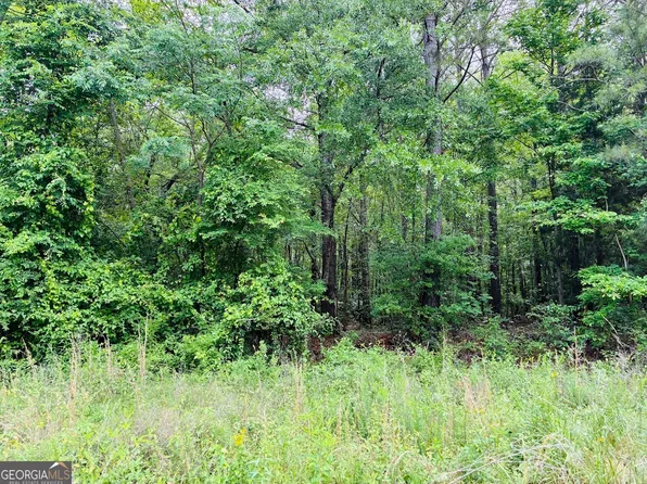 0 Lee Ln, Greenville, GA 30222