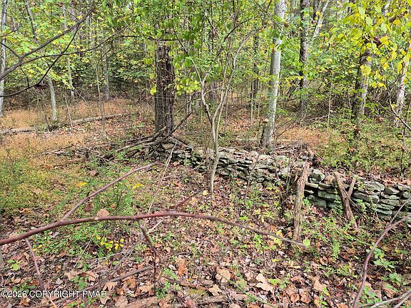 3rd image of Millheim Rd