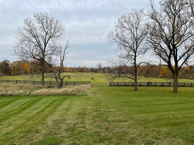 4770 Sheldon Rd — Photo 49