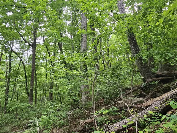 6/ACRE S County Road 250, Scottsboro, AL 35768