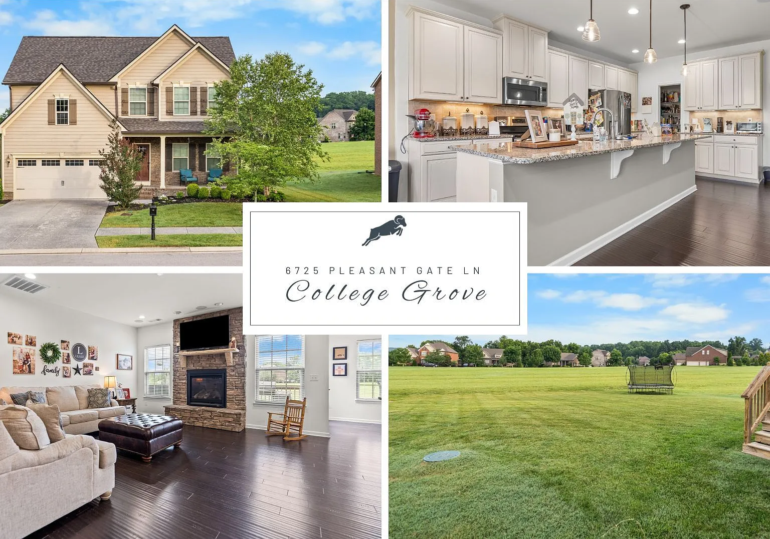 6725 Pleasant Gate Lane, College Grove, TN 37046 — Photo 1