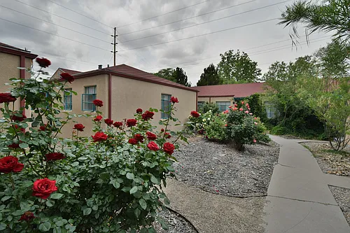 Classic / Totally Updated 1 Bedroom Apartment w/ Yard Photo 1
