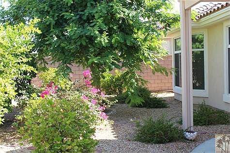 Backyard is Carefree and Lush with Mature Fruit Trees and Shade Trees and a Wonderful Extended Patio Cover.