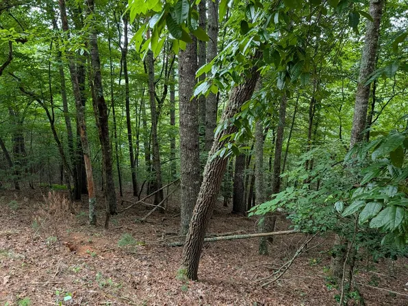 0 Chestnut Hill Dr, Franklin, NC 28734