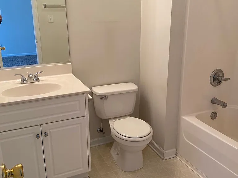 441 Flowing Creek Dr — Photo 9