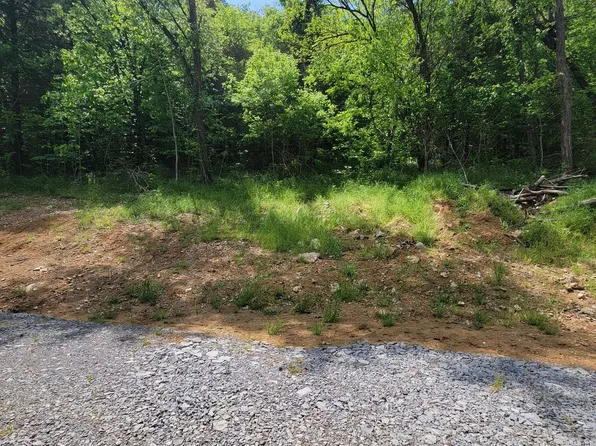 0 Gossburg Rd Lot 3, Beechgrove, TN 37018