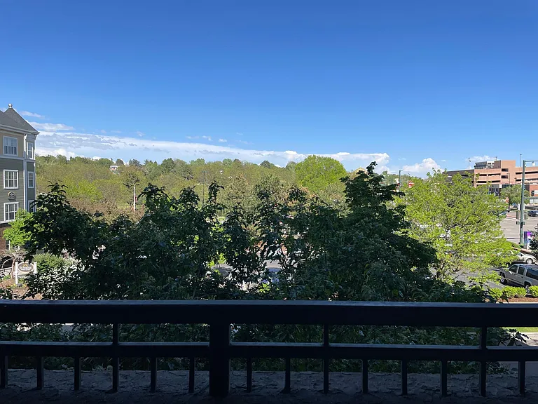 View from the deck - facing South. Sit outside and enjoy the sun rise over the trees every morning!