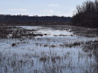 Freebridge Rd, Tiptonville, TN 38079