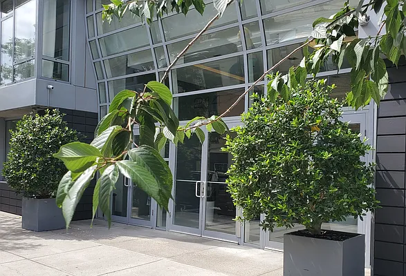 Rented by Corcoran | media 15