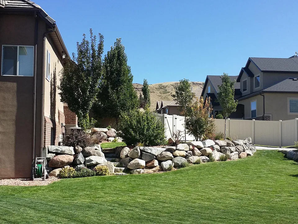 Views of the Backyard