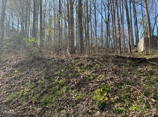 Wedgewood Dr, Big Stone Gap, VA 24219