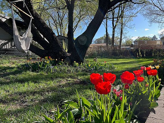 Front yard