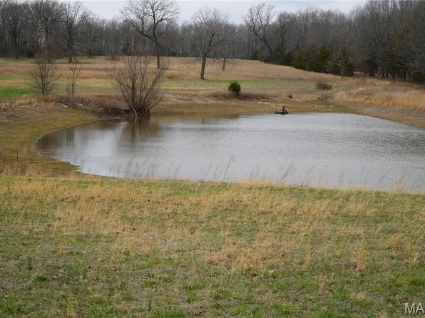 18143 Oasis Dr, Phillipsburg, MO 65722