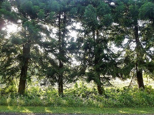 1st image of Makamae St Lot 83
