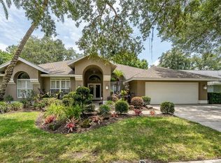 15909 Dawson Ridge Dr, Tampa, FL 33647