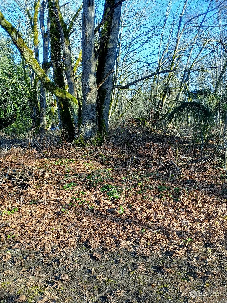 53 E Port Gardener Drive photo 1