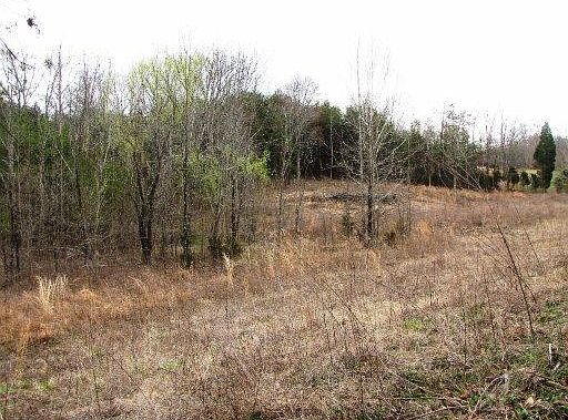 2nd image of Reagan Mill Rd
