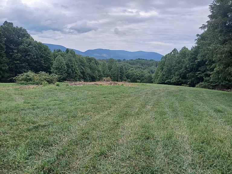 2390 Guinea Mountain Rd — Photo 10