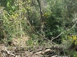 181 Clover Rd, Cedar Creek, TX 78612