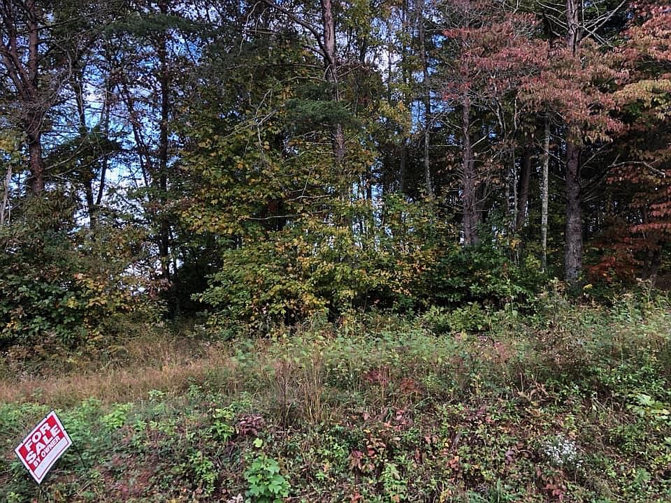 2nd image of Skyline Dr