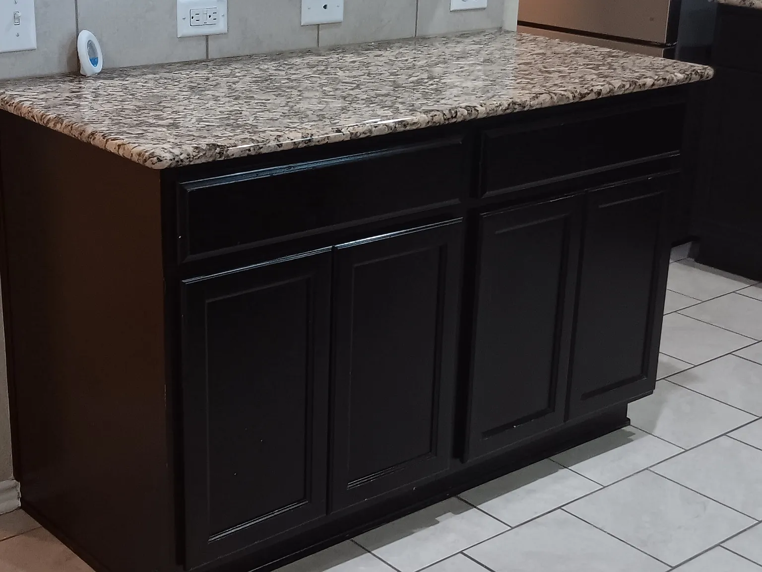 8817 Palmetto Falls — Photo 3
