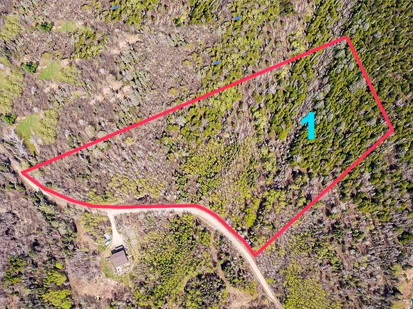 LOT 1 Truman Ln, Ely, MN 55731