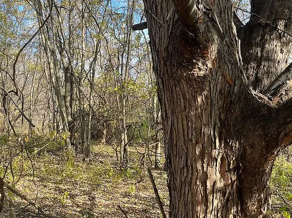 0 Northview Rd #1, Wellsburg, WV 26070