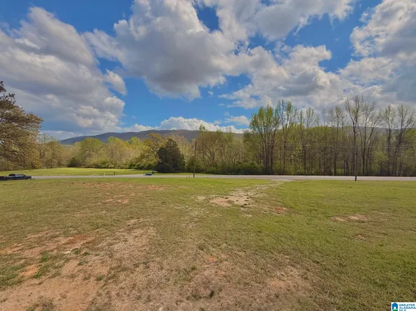 18505 State Highway 9 S #0, Piedmont, AL 36272